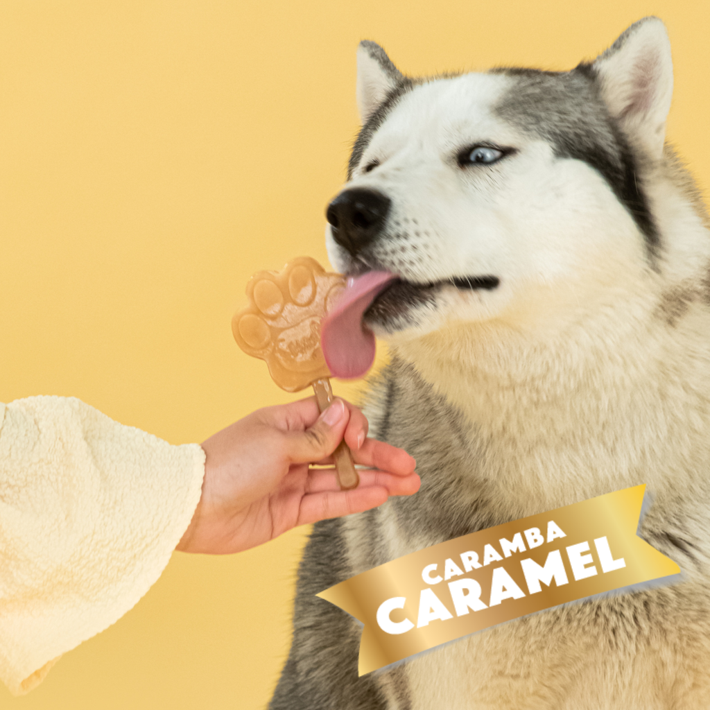 Smoofl - Ismix til hundeis - Karamel