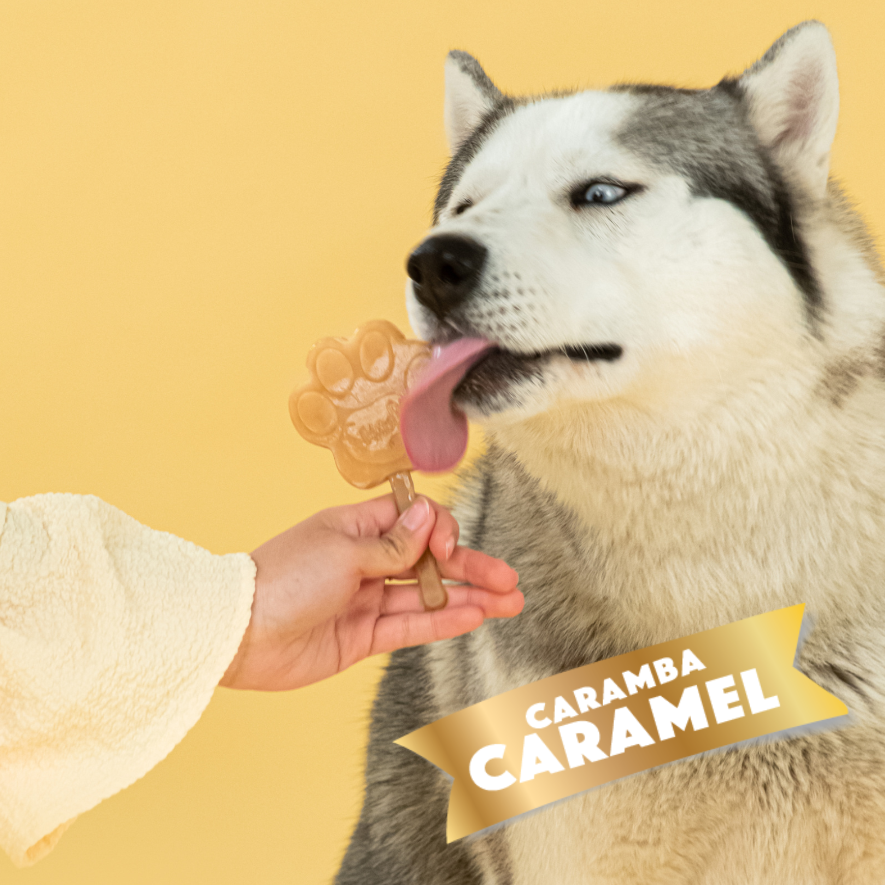 Smoofl - Ismix til hundeis - Karamel
