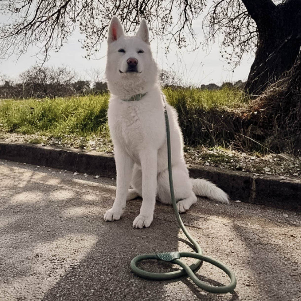 Ne&no® - Hundesnor - Mat Grøn - 170cm