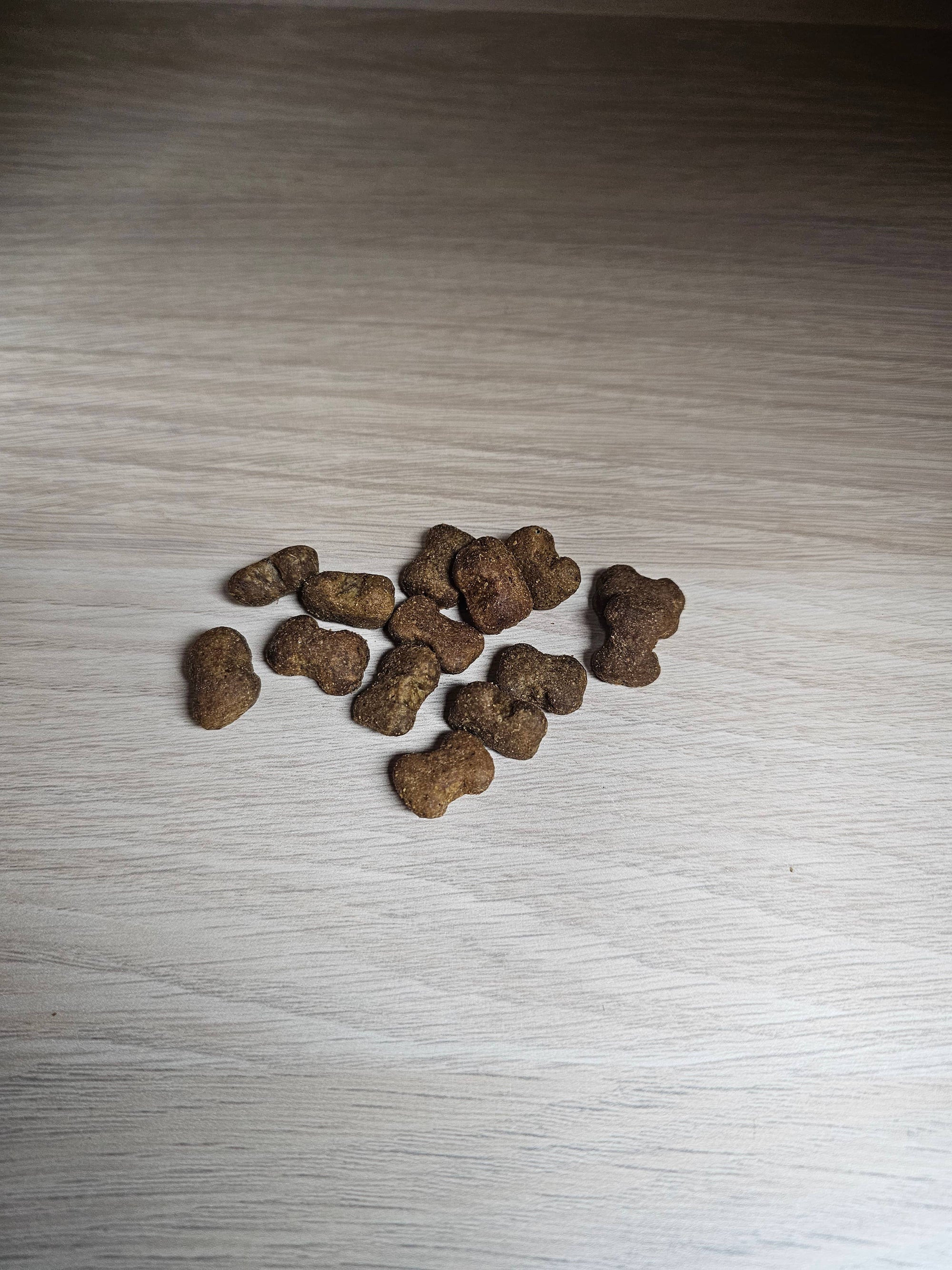 Spirit of Wild - Godbidder - Immunsystem - Kornfri - 120g