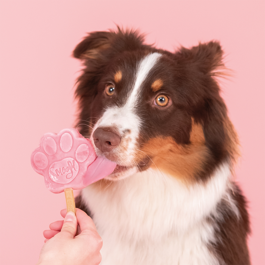 Smoofl - Ismix til hundeis - Vandmelon