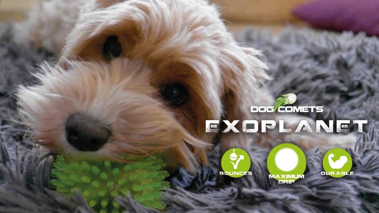 Dog Comets - Exoplanet - Orange - Str. M
