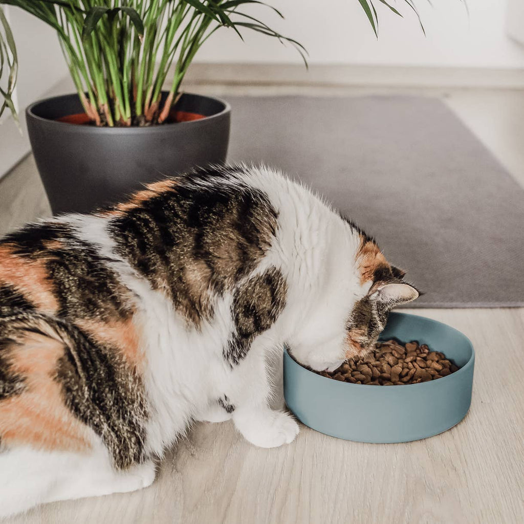 Ne&no® - Silikone-foderskål – Skridsikker – Lilla