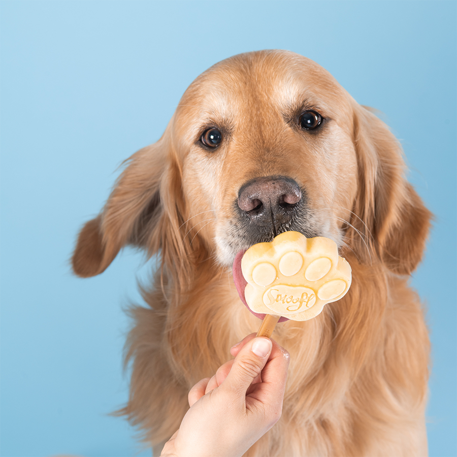 Smoofl - Ismix til hundeis - Peanut Butter