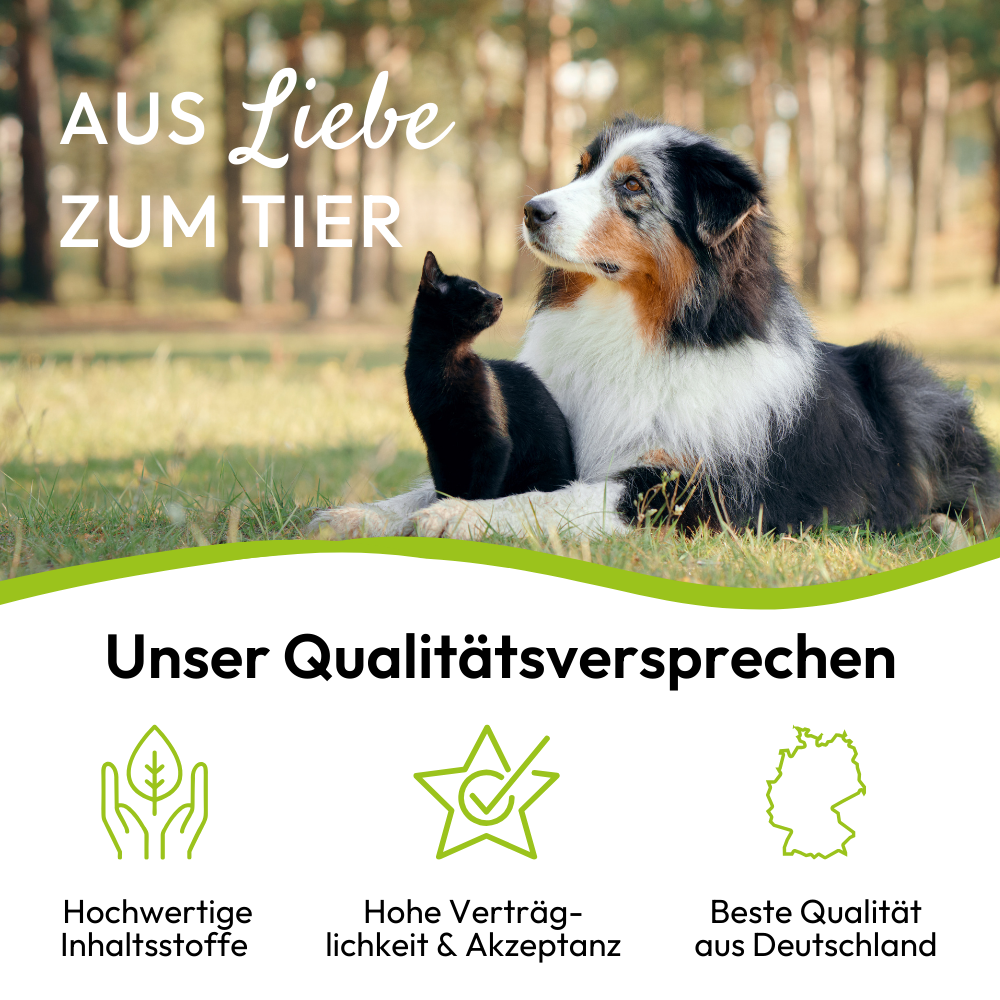 PHA - Vitaminpasta til hunde - 100ml