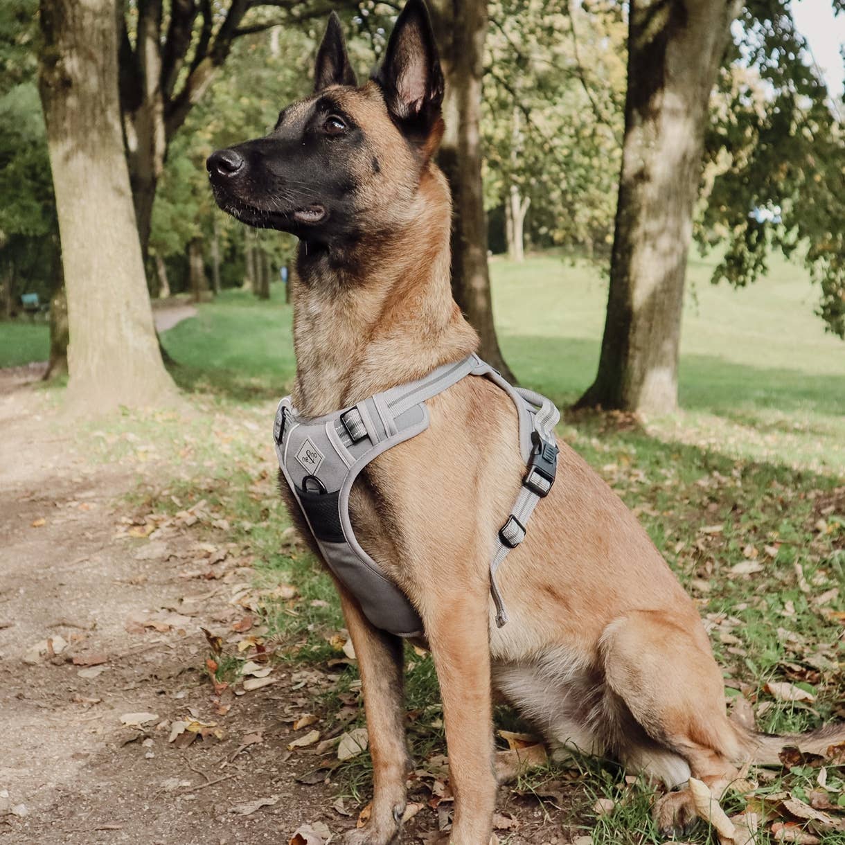 Ne&no® - Outdoor Hundesele m. støddæmper - S