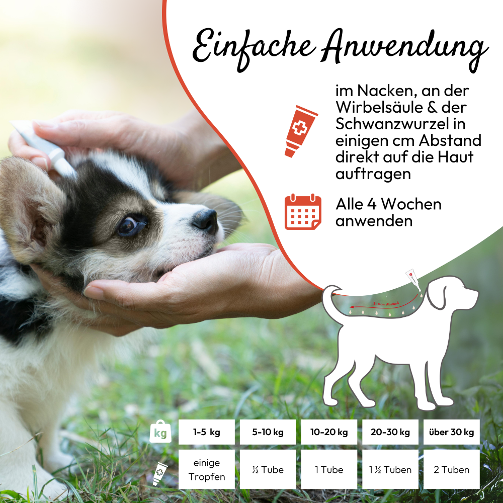 PHA - Spot-on dråber til hunde imod flåter - 2x2ml