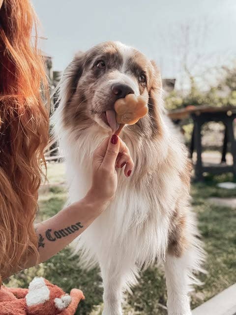 Smoofl - Ismix til hundeis - Peanut Butter