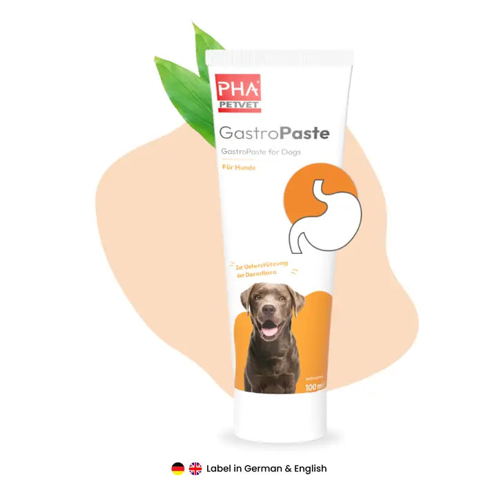 PHA - Gastropaste - 100ml