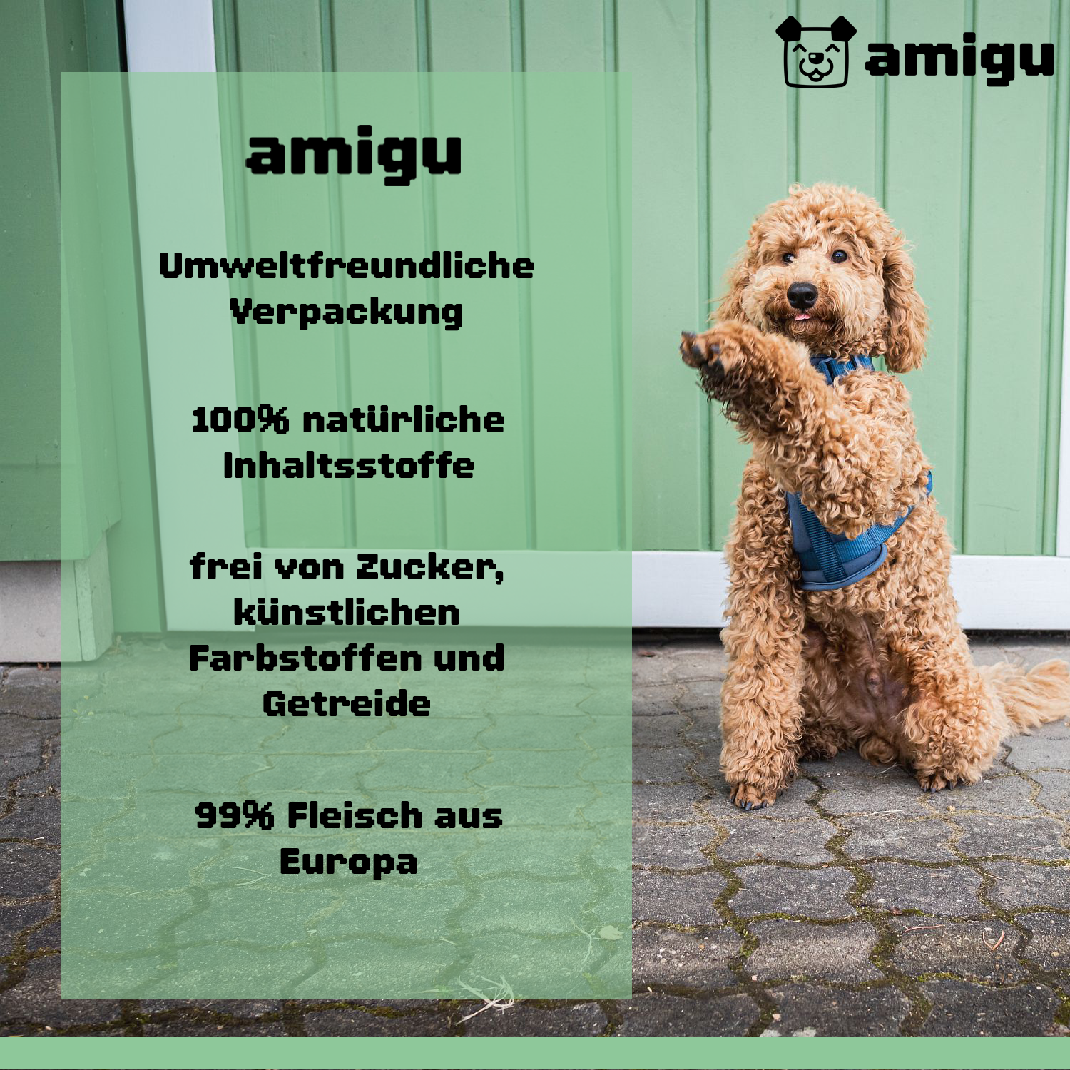 Amigu - Store kødterninger m. Lam - 100g