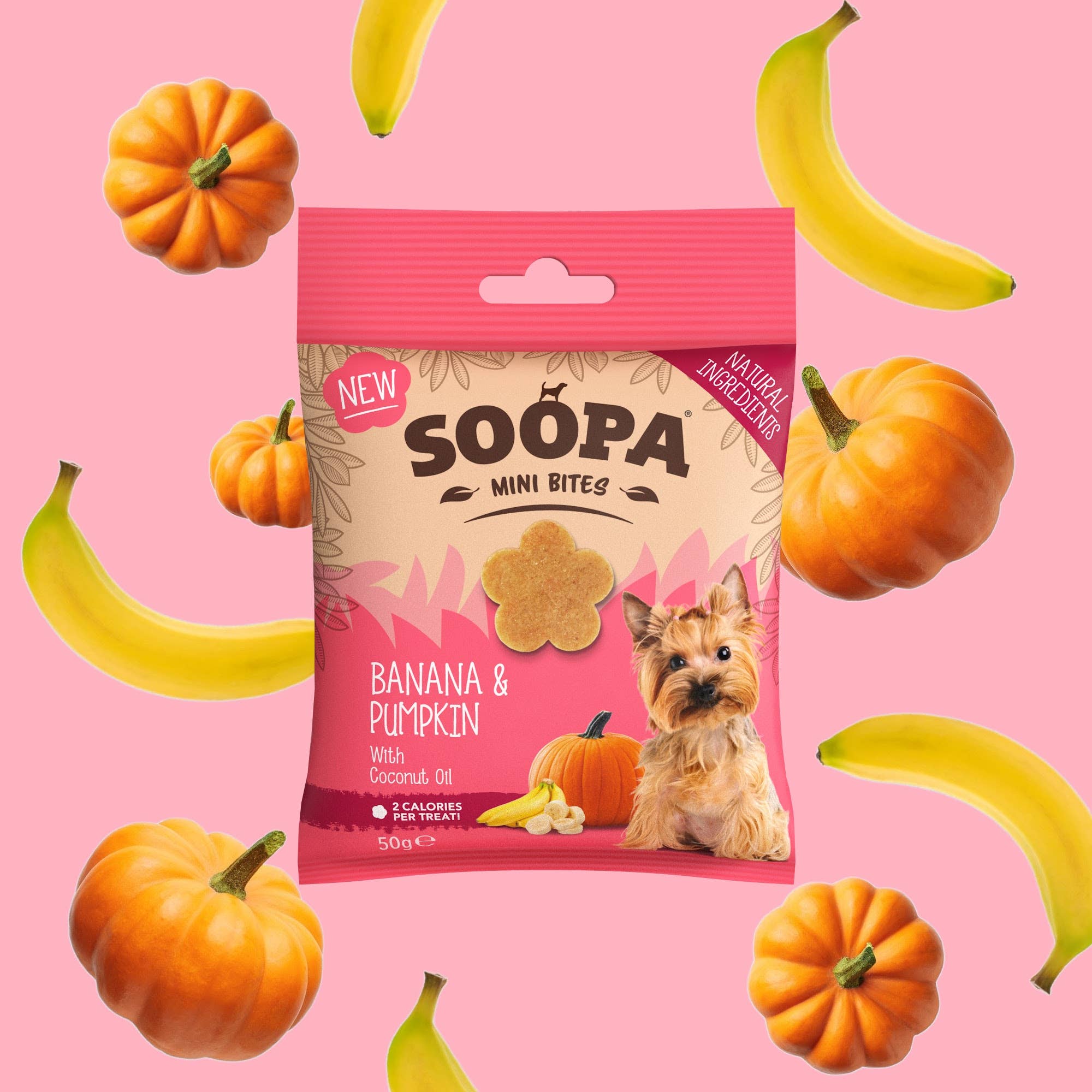 Soopa - Godbidder m. Banan & Græskar (Mini) - 50g