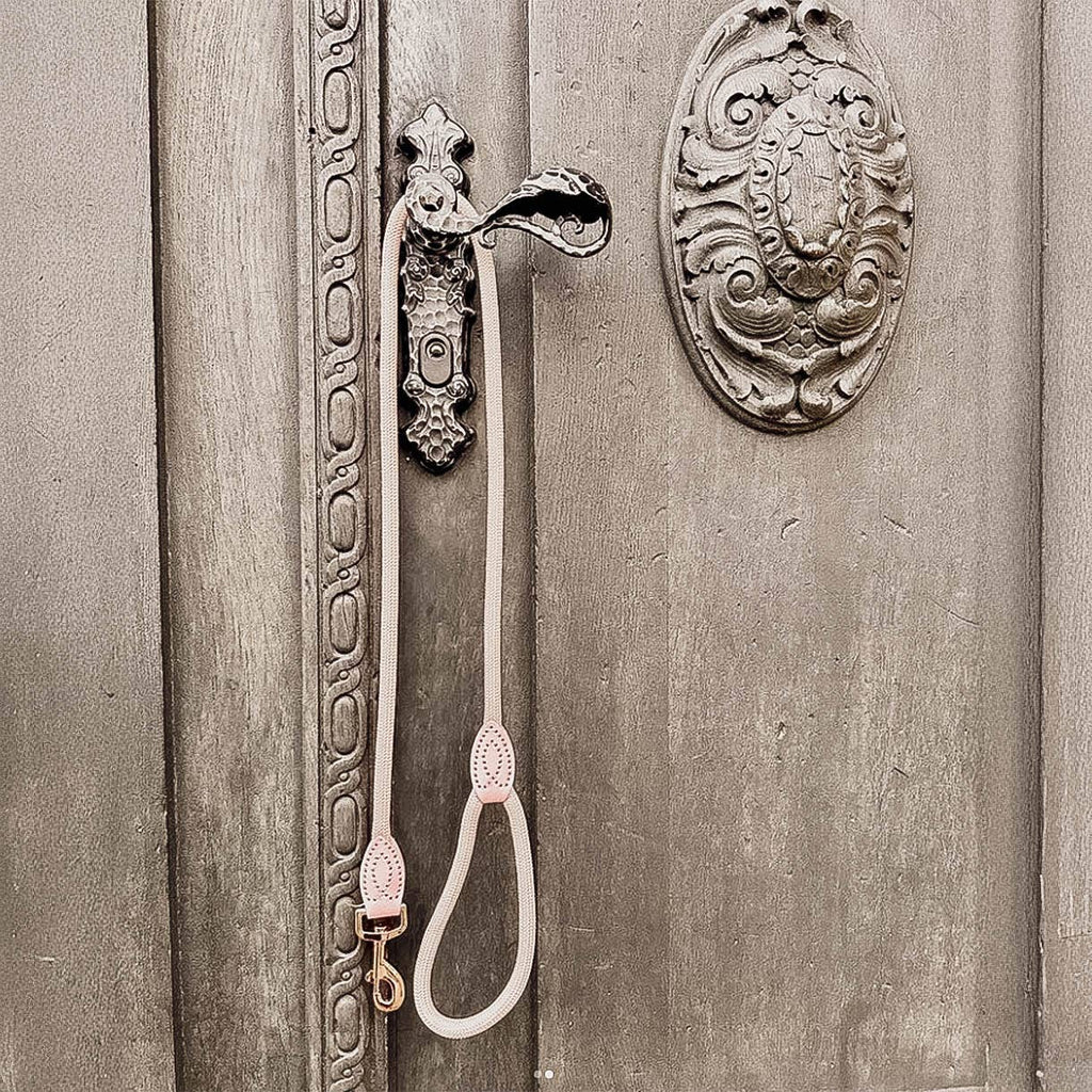 Ne&no® - Hundesnor - Aqua Blå - 170cm