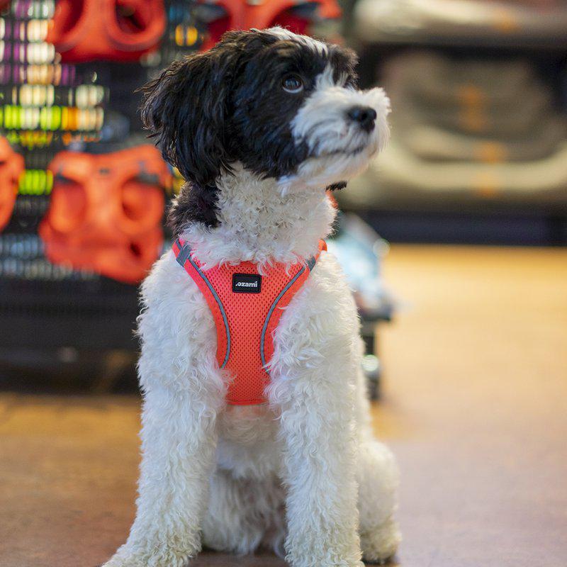 Ozami Air-mesh hundesele - Rosa