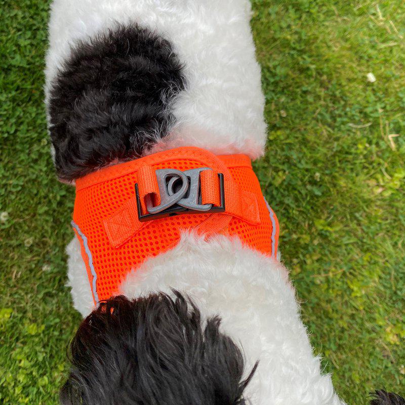 Ozami Air-mesh hundesele - Orange