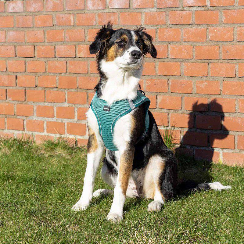 Ozami Air-mesh hundesele - Tyrkis