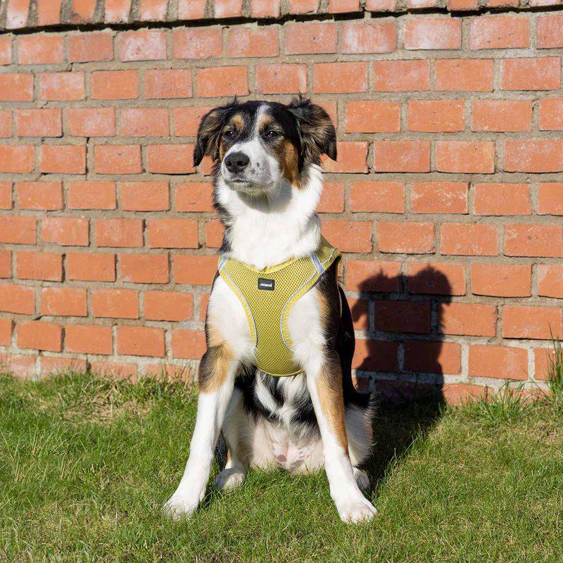 Ozami Air-mesh hundesele - Gul