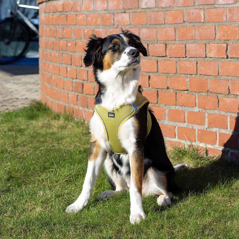 Ozami Air-mesh hundesele - Gul