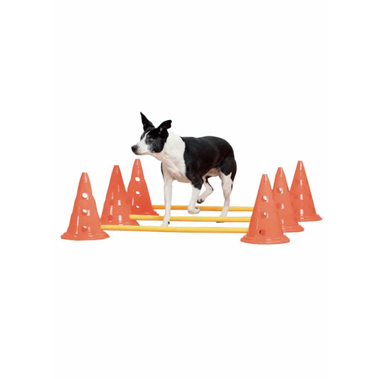 Agility træningssæt