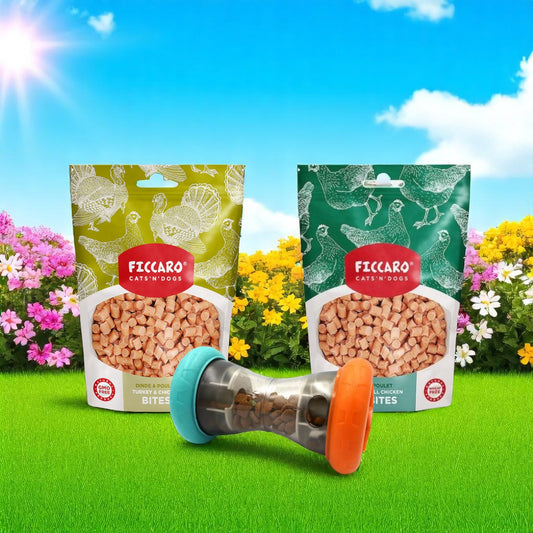Aktivitetspakke 1 - Ficcaro Godbidder og Snack Roller