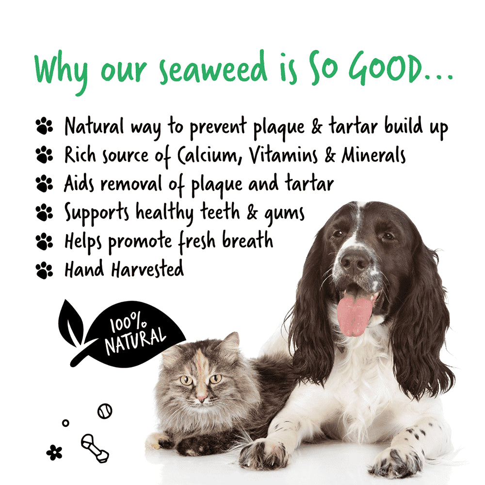 Bugalugs - Plakfjerner af håndhøstet Irsk tang - 200g