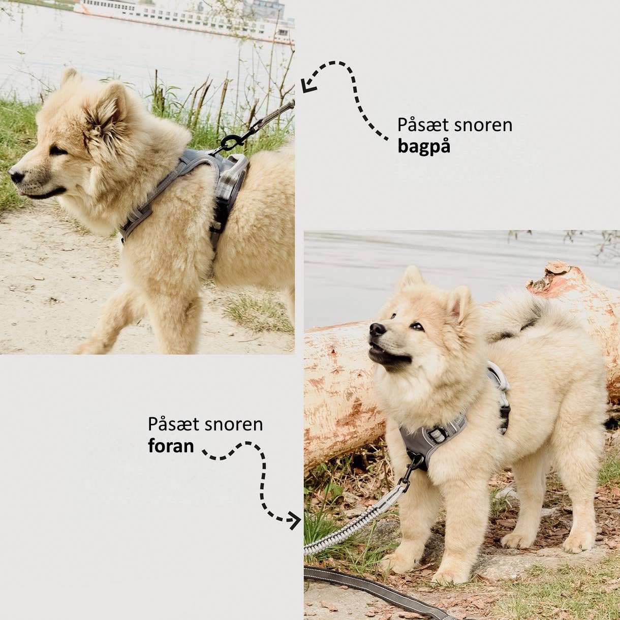 Ne&no® - Outdoor Hundesele m.  støddæmper - L
