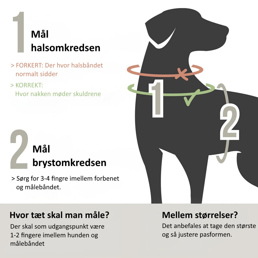Ne&no® - Outdoor Hundesele m. støddæmper - S