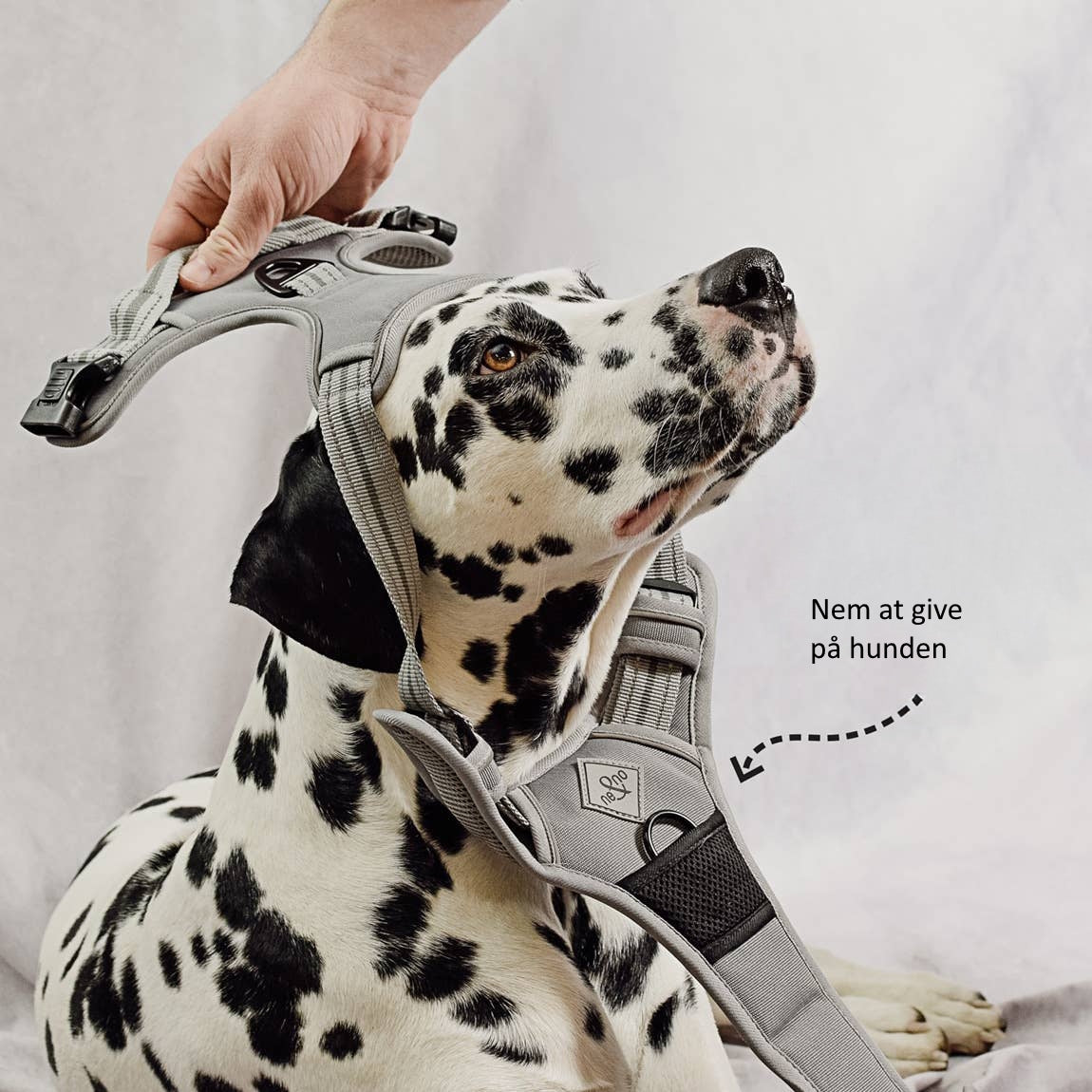 Ne&no® - Outdoor Hundesele m.  støddæmper - L