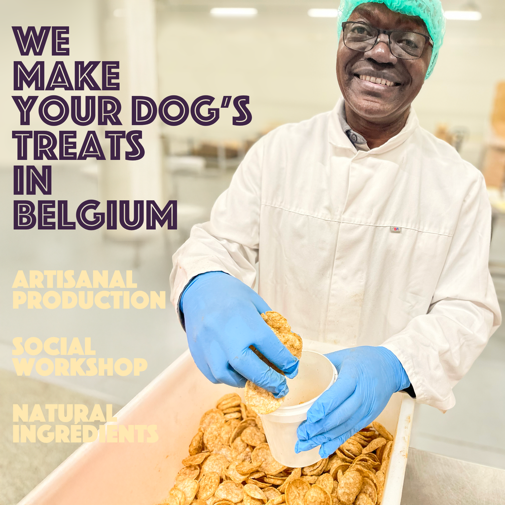 Smoofl - Hundechips m. Kylling - 50g