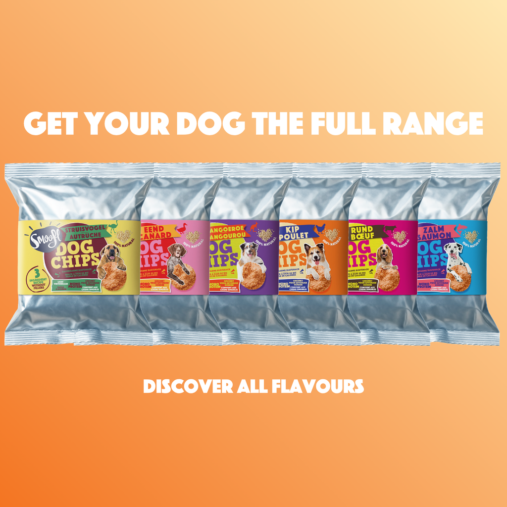 Smoofl - Hundechips m. Kylling - 50g