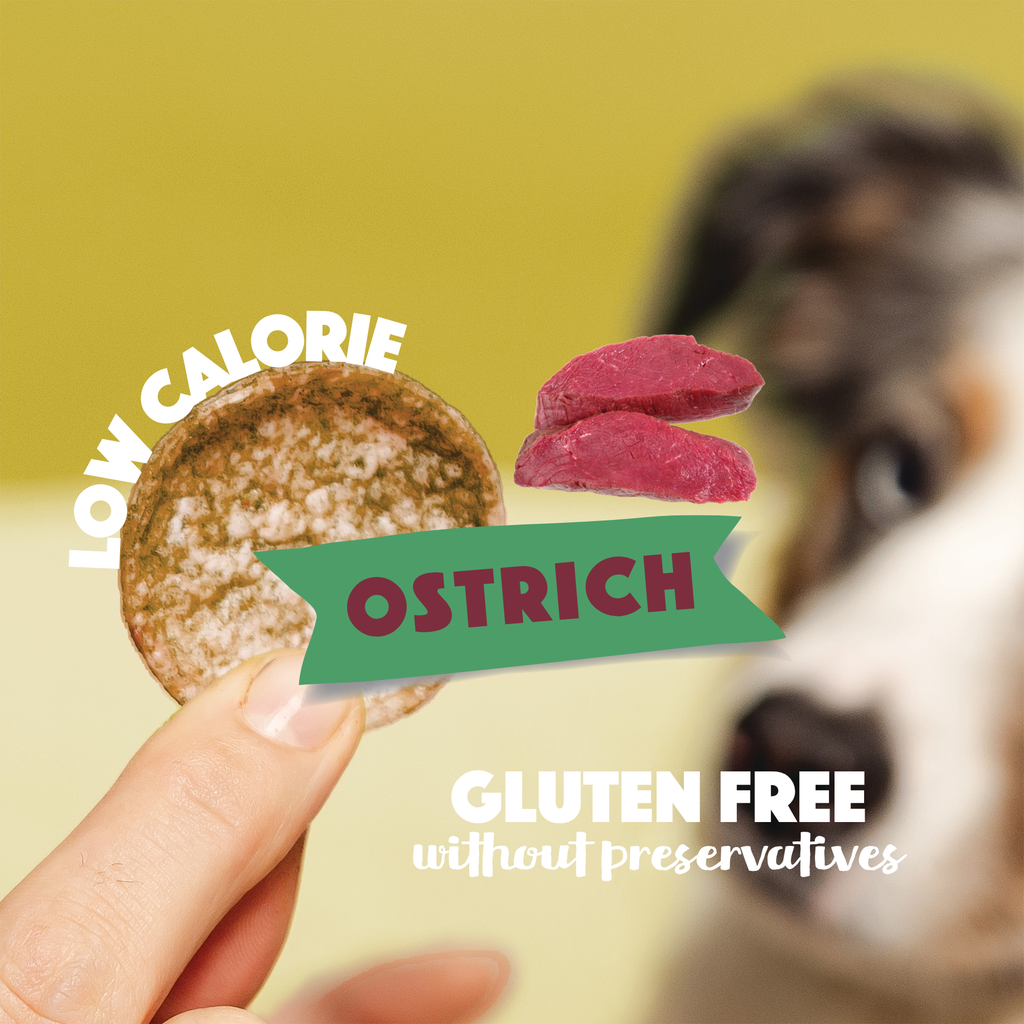 Smoofl - Hundechips m. Struds - 50g