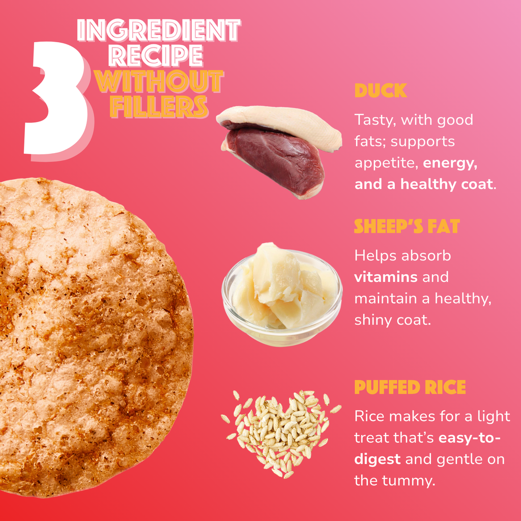 Smoofl - Hundechips m. And - 50g