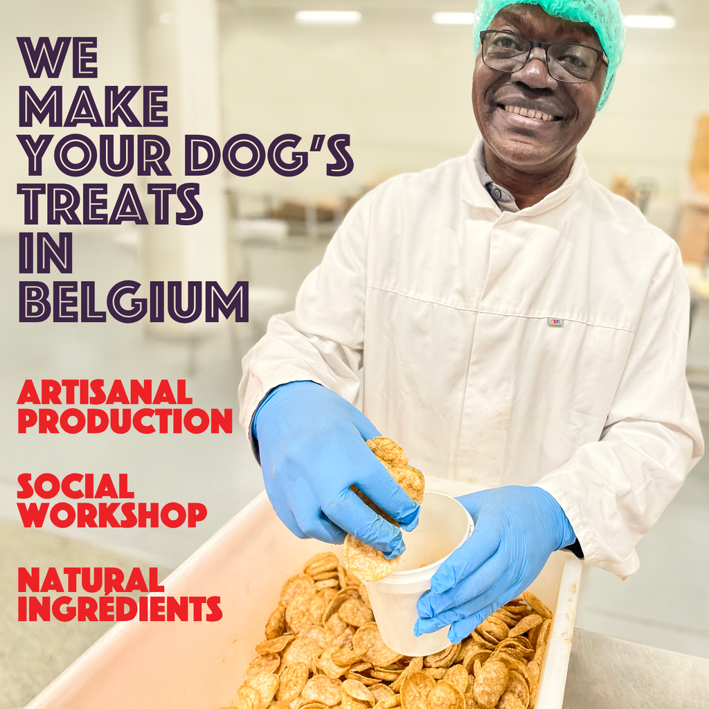 Smoofl - Hundechips m. And - 50g