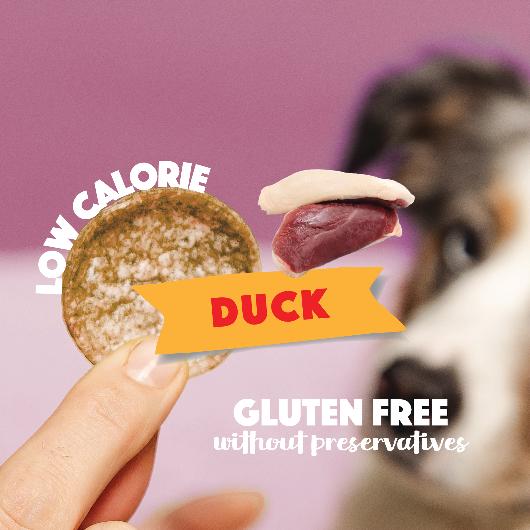 Smoofl - Hundechips m. And - 50g