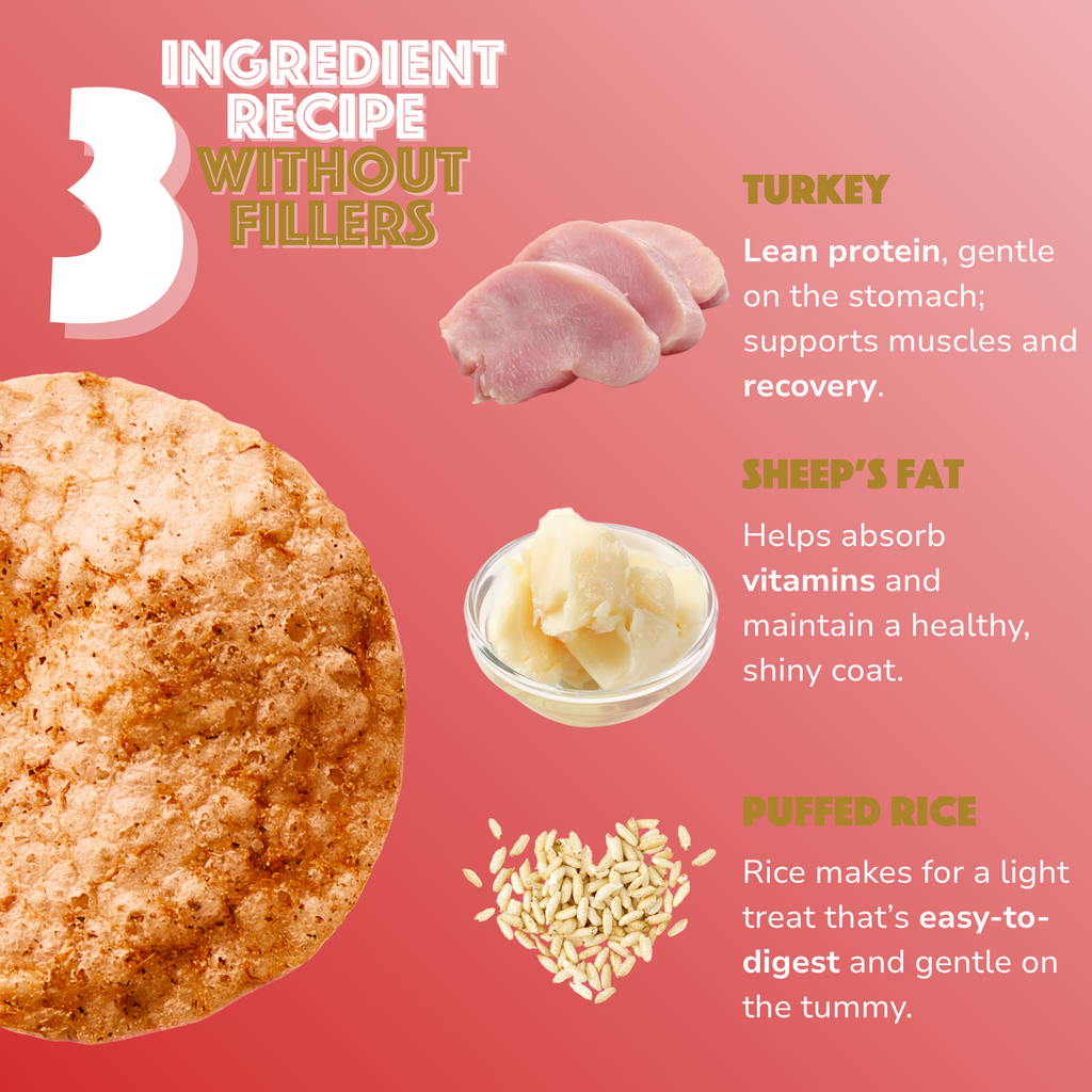 Smoofl - Hundechips m. Kalkun - 50g