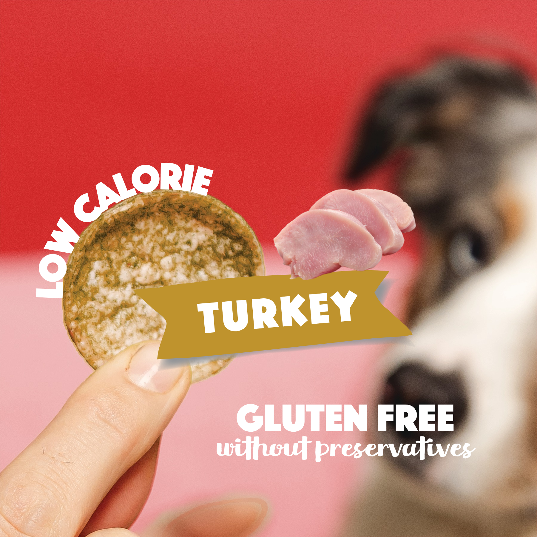 Smoofl - Hundechips m. Kalkun - 50g