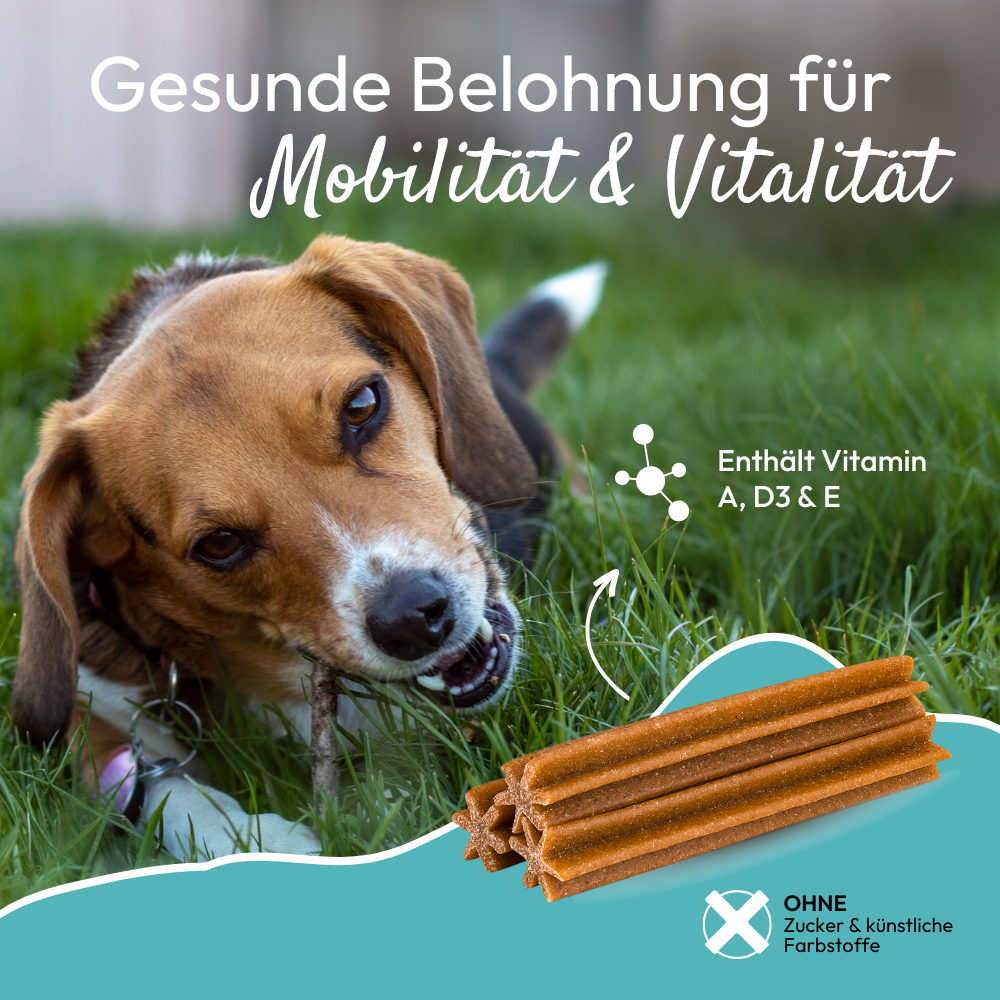 PHA - Multivitamin Sticks til hunde - 180g