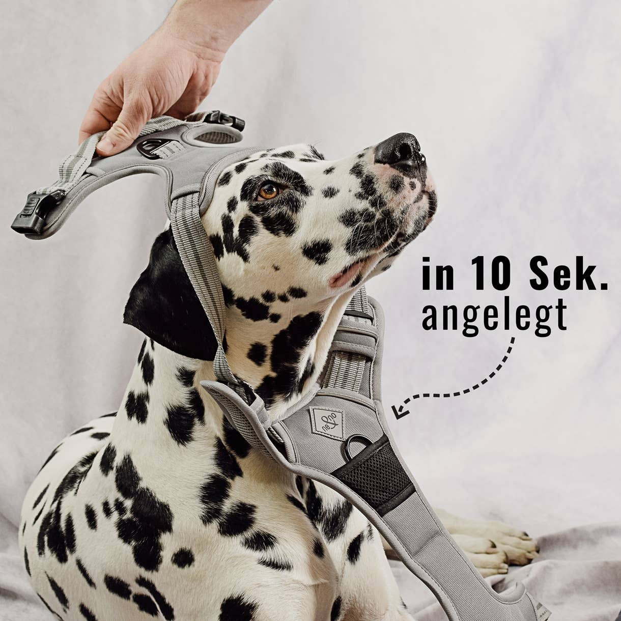Ne&no® - Outdoor Hundesele m. støddæmper - M