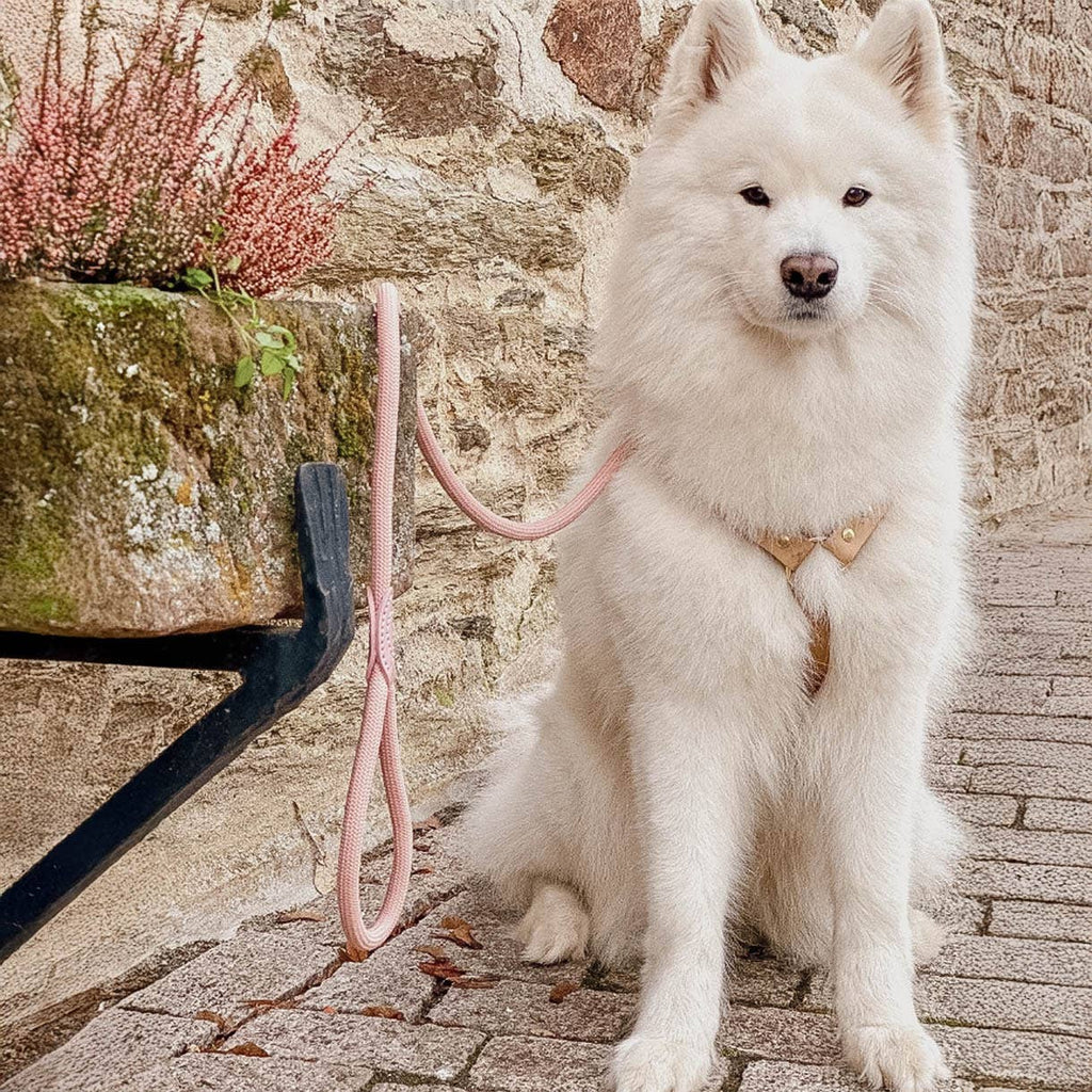 Ne&no® - Hundesnor - Mat Grøn - 170cm