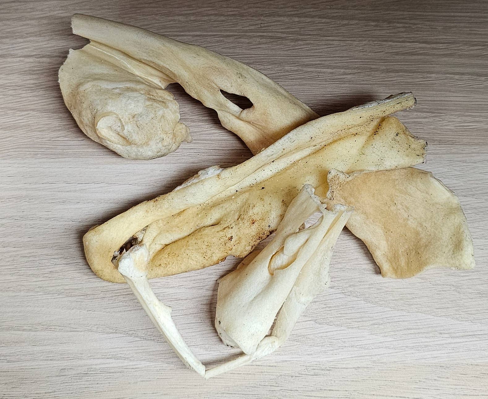 Spirit of Wild - Snack - Lamme hovedbund : 100g