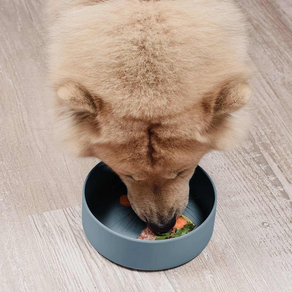 Ne&no® - Silikone-foderskål – Skridsikker – Lilla