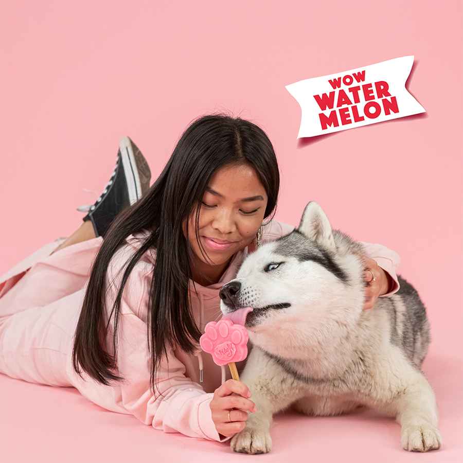Smoofl - Ismix til hundeis - Vandmelon