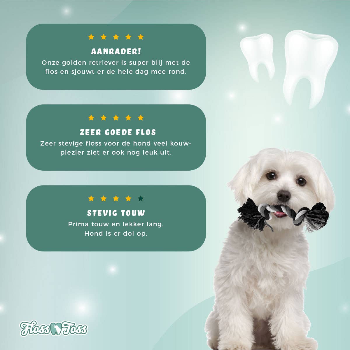Floss Toss - Dental Reblegetøj - 2 Knuder - 20cm