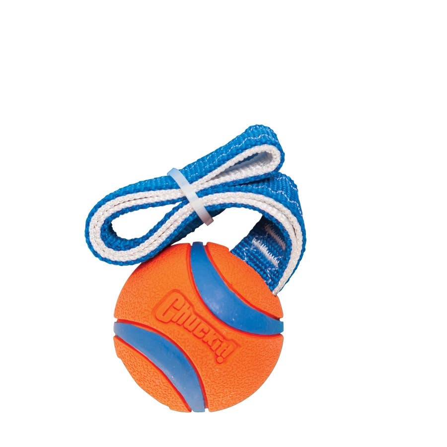 Chuck'it - Ultra Tug - M 6cm