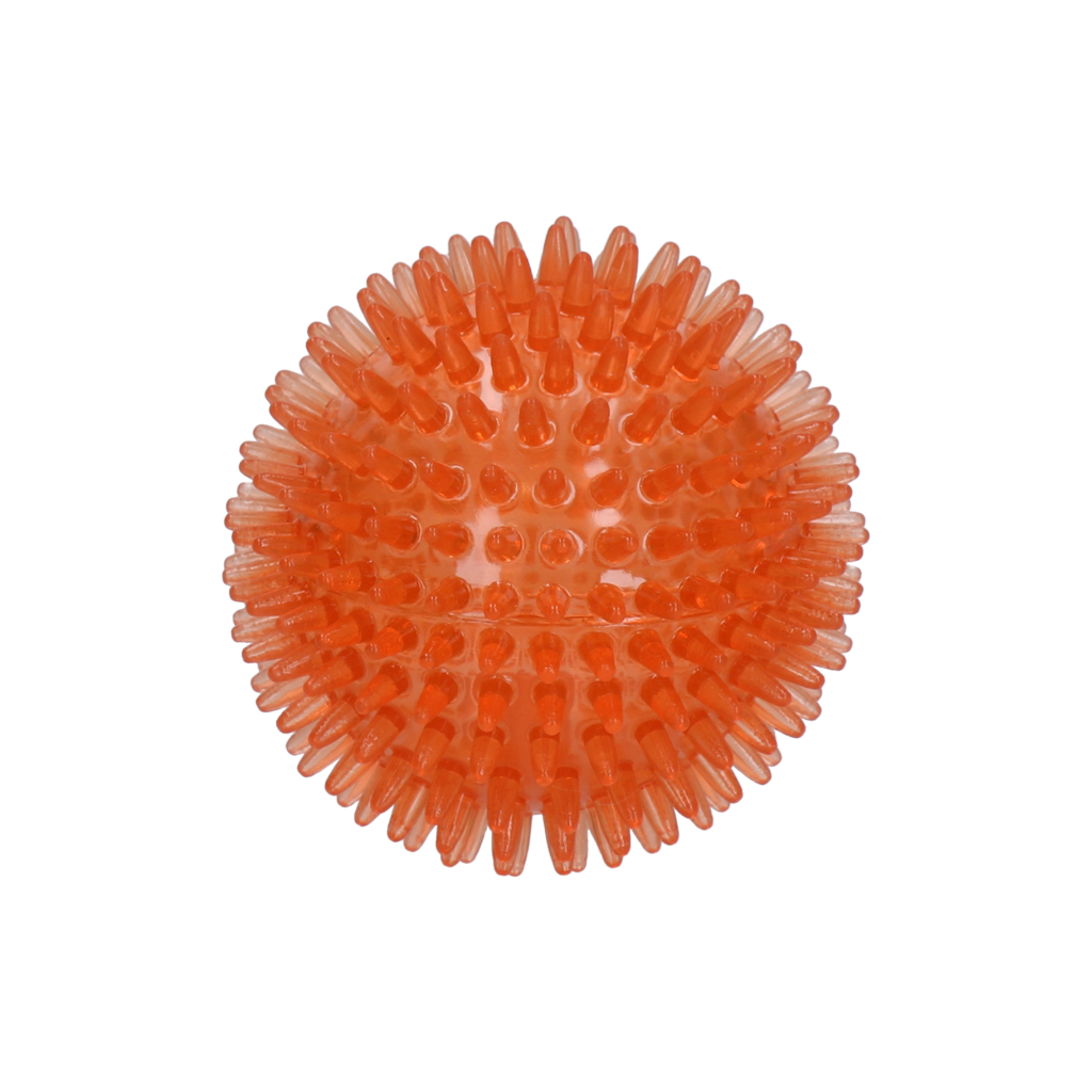 Dog Comets - Exoplanet - Orange - Str. M