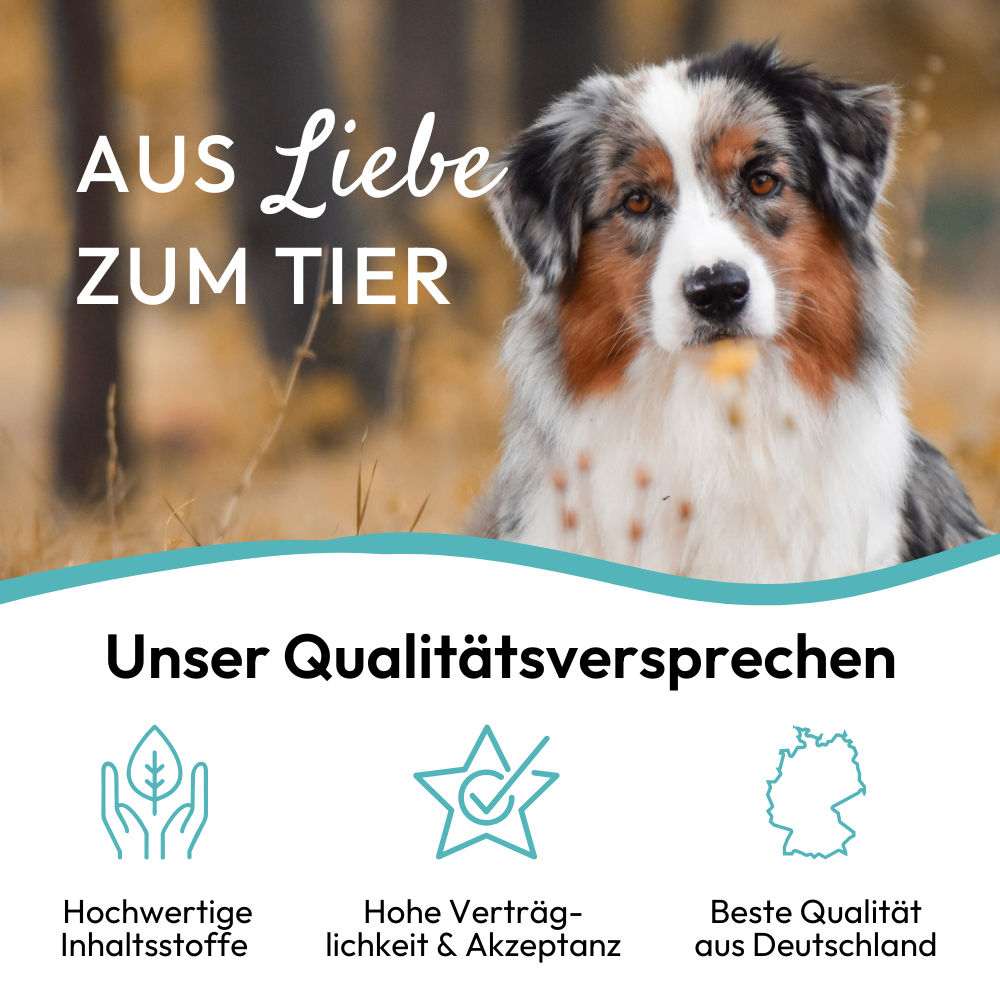 PHA - Multivitamin Sticks til hunde - 180g