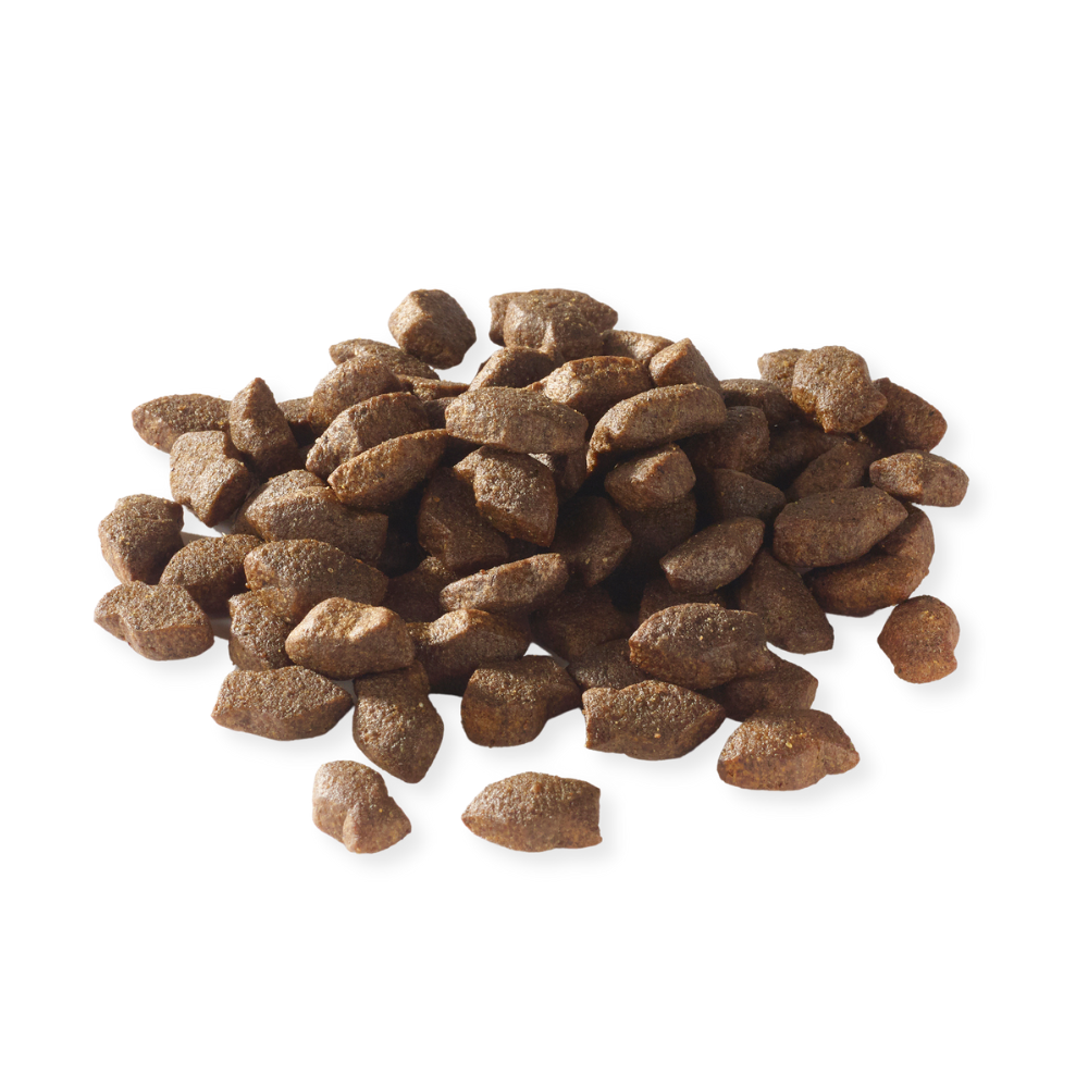 Fish4Dogs - Support+ Hvalp - Lakse Godbidder 150g
