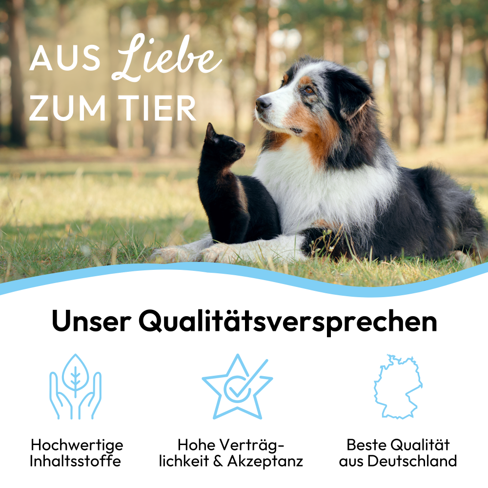 PHA - Øjenpleje til hunde - 20ml