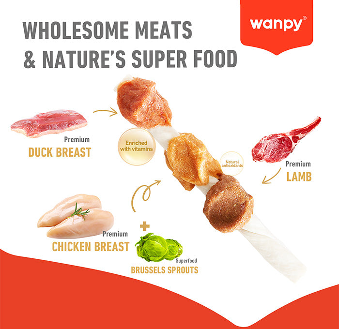 Wanpy - Chewy Triple Chunk Kabobs - 100g