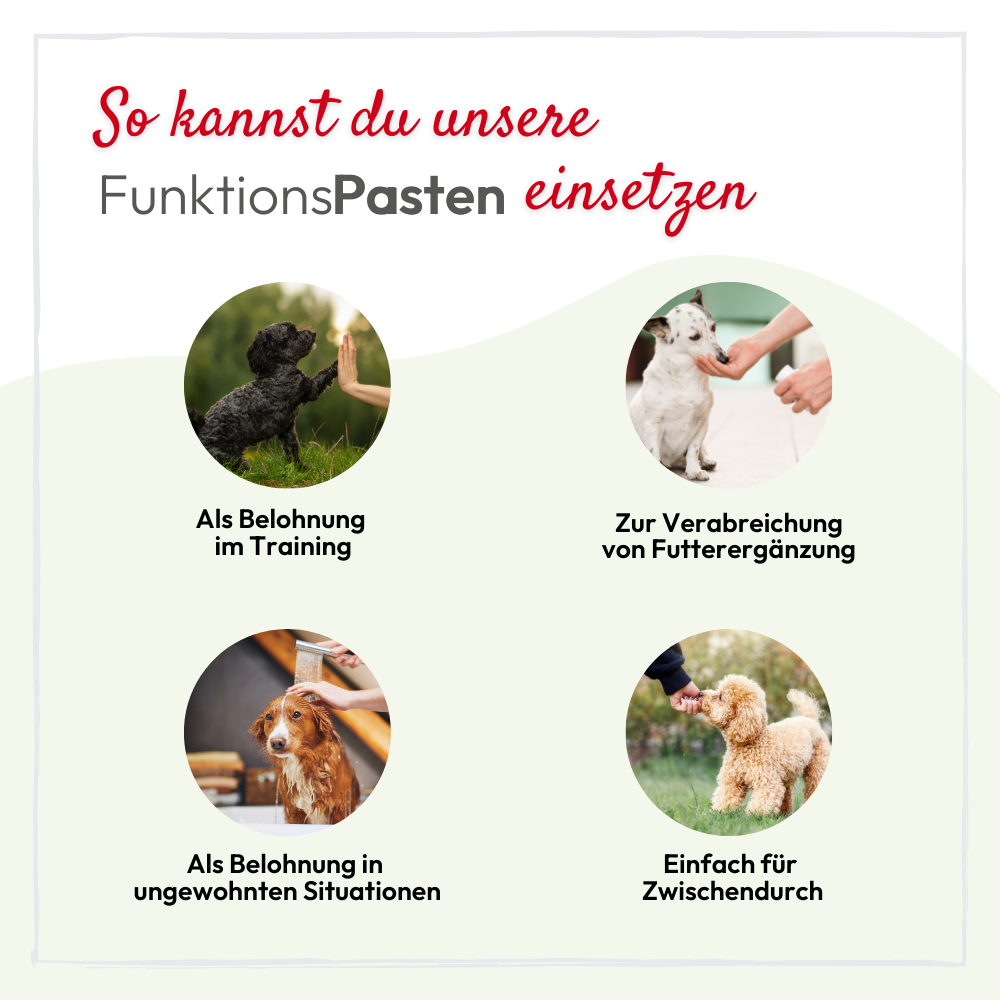 PHA - Vitaminpasta til hunde - 100ml