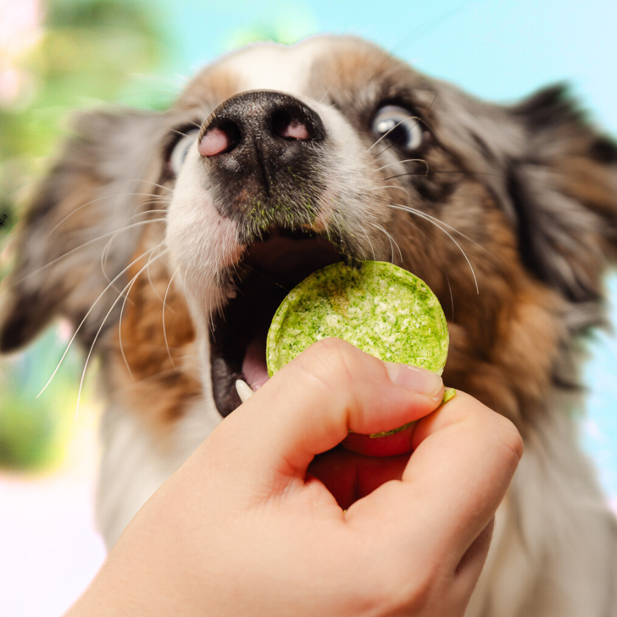 Smoofl - Hundepops m. lakseolie & alger